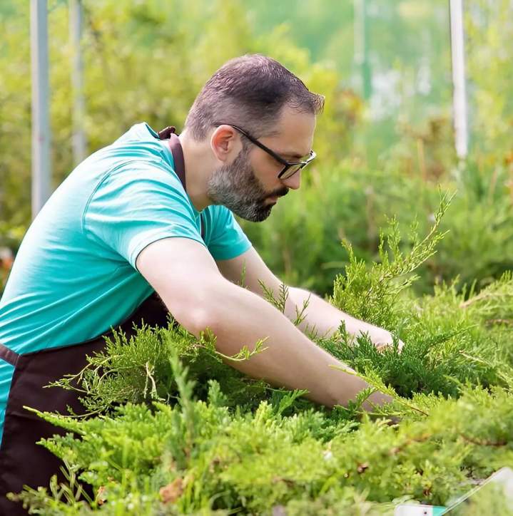 Fresh Rosemary Miami